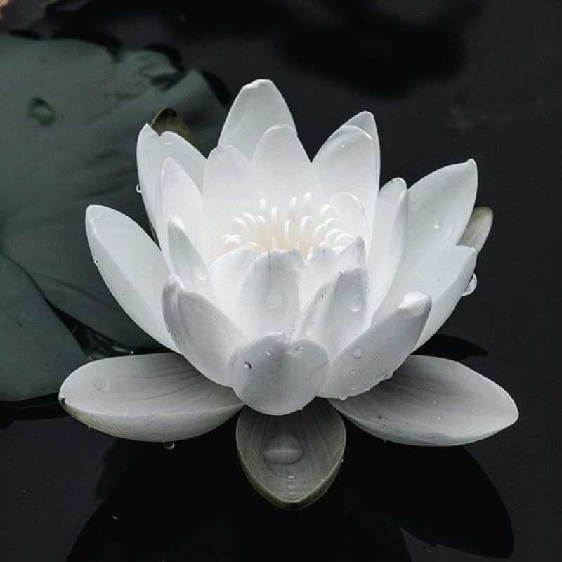 Avatar hoa sen trắng đám tang