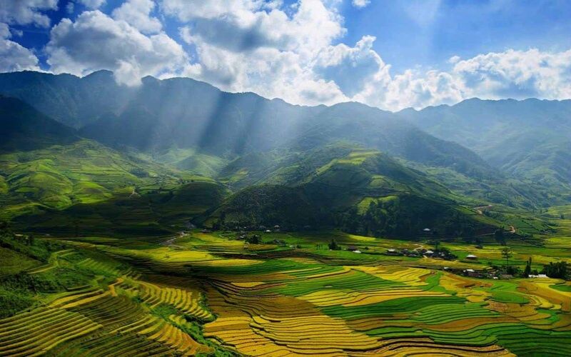 Ảnh đại diện chill thiên nhiên