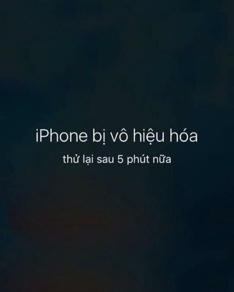 Hình nền đt bỏ điện thoại tao xuống