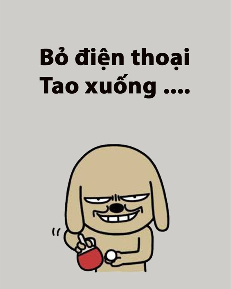 Hình nền bỏ điện thoại tao xuống cute