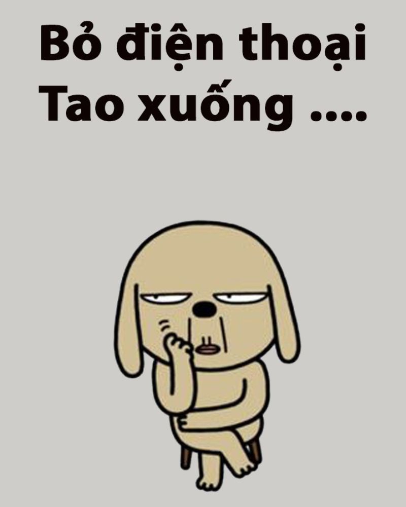 Hình nền có chữ bỏ điện thoại tao xuống