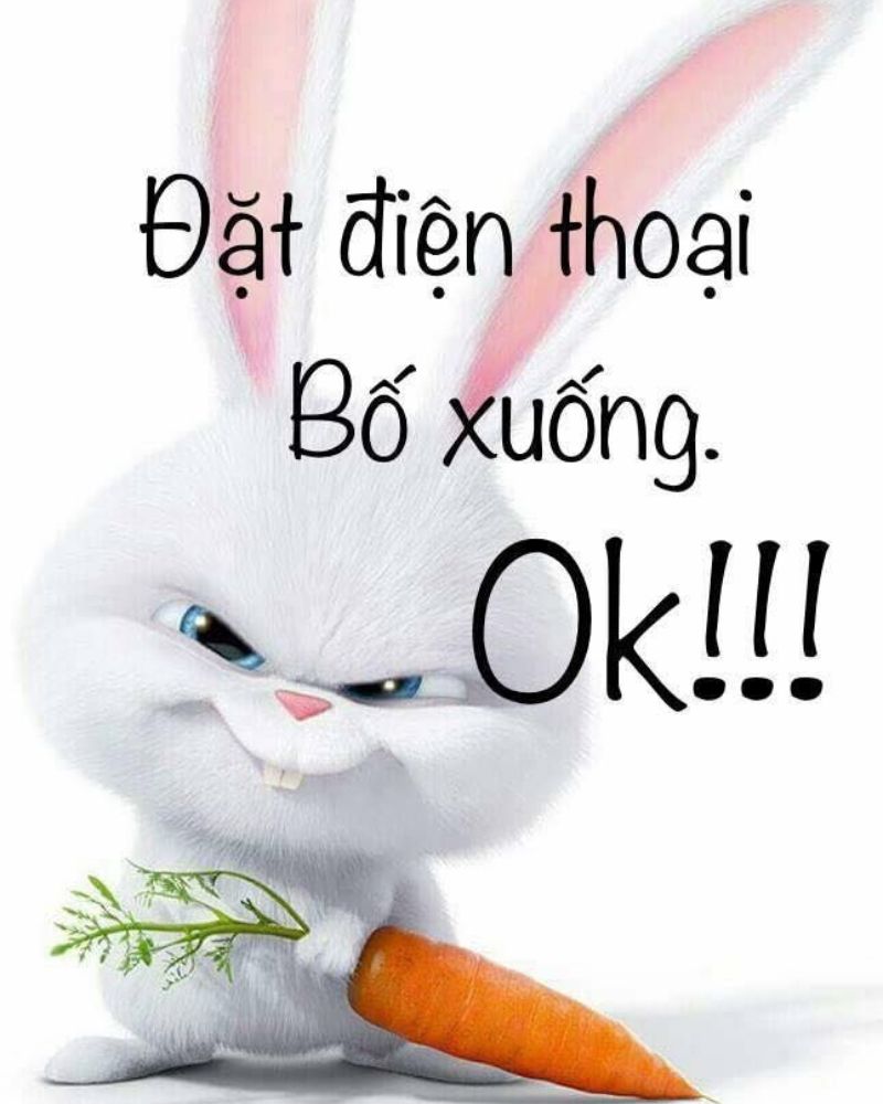 Hình nền màn hình khóa bỏ điện thoại tao xuống