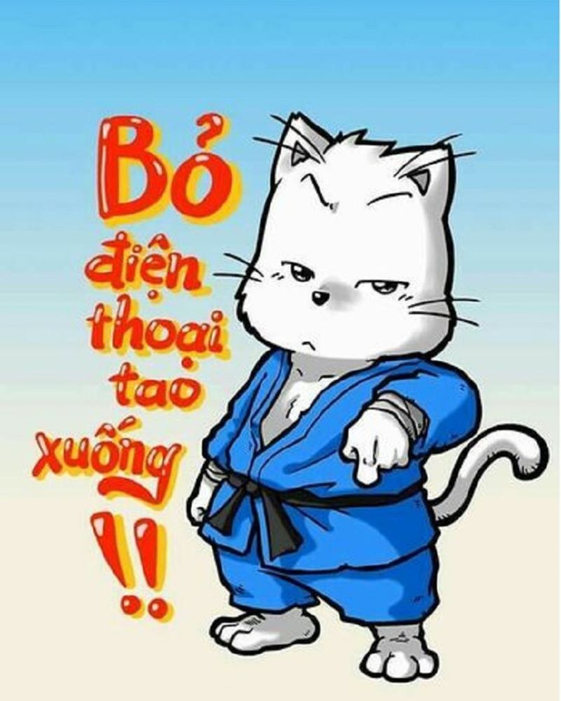 Hình nền điện thoại luffy bỏ điện thoại tao xuống