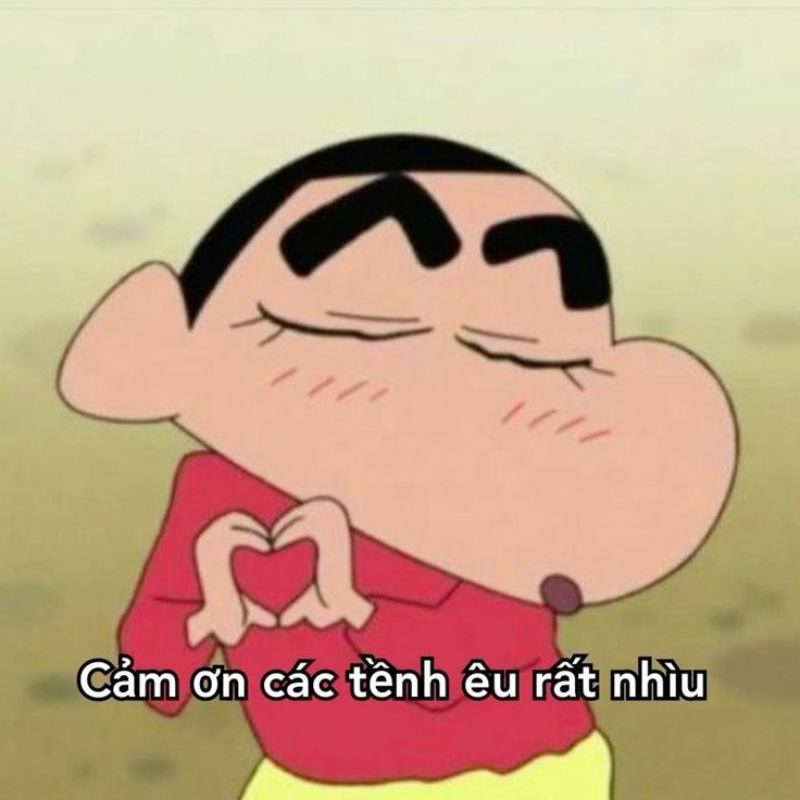 Ảnh meme cảm ơn là gì