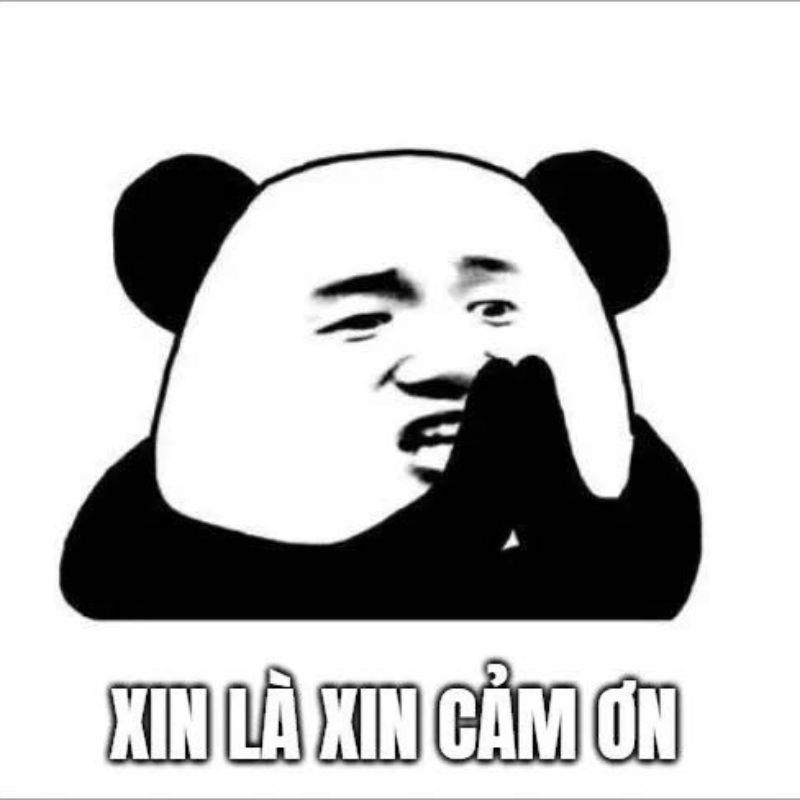 Meme cảm on hài hước