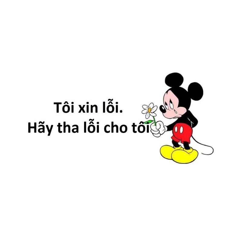 Cách tải ảnh meme xin lỗi