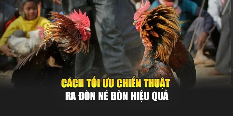 Cách tối ưu chiến thuật ra đòn né đòn hiệu quả
