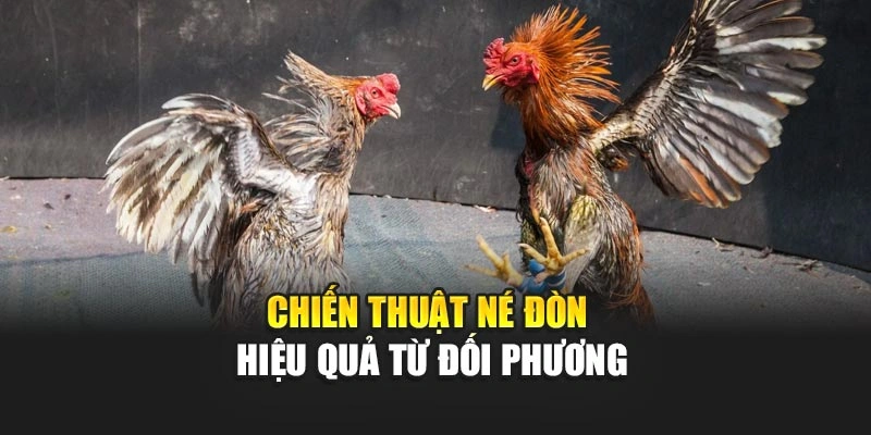 Chiến thuật né đòn hiệu quả từ đối phương