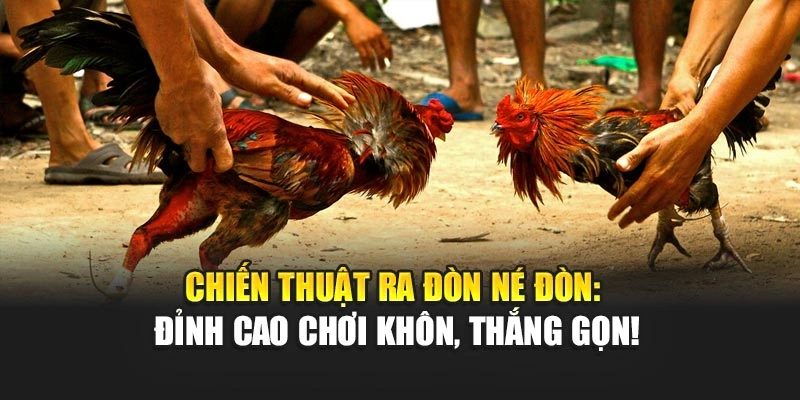Chiến Thuật Ra Đòn Né Đòn